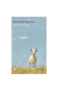 Şeker Renk Herzeler / Necmi Zeka Şeker Renk Herzeler / Necmi Zeka