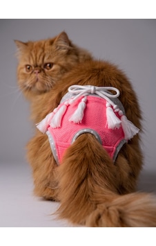 Neo Pink Dişi Kedi Regl Külotu Don Kedi İç Çamaşırı Ayarlanabilir Bağcıklı Küçük Irklar İçin Neo Pink Dişi Kedi Regl Külotu Don Kedi İç Çamaşırı Ayarlanabilir Bağcıklı Küçük Irklar İçin