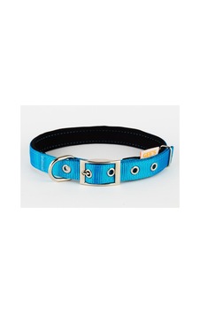 Gees Köpek Boyun Tasması 1,5x23-33 Cm Turkuaz Gees Köpek Boyun Tasması 1,5x23-33 Cm Turkuaz