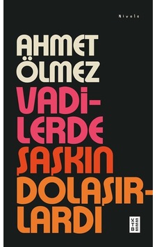 Vadilerde Şaşkın Dolaşırlardı / Ahmet Ölmez Vadilerde Şaşkın Dolaşırlardı / Ahmet Ölmez
