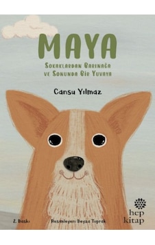 Maya - Sokaklardan Barınağa Ve Sonunda Bir Yuvaya - Grsy-593975 Maya - Sokaklardan Barınağa Ve Sonunda Bir Yuvaya - Grsy-593975