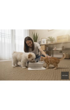 İki Hazneli Kedi Kafalı Beyaz Standlı Kedi Mama Ve Su Kabı 350 Ml