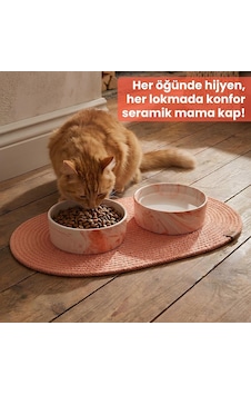 Premium 3'lü Evcil Hayvan Mama Kabı Seti 2 Adet Lüks Mermer Desenli Seramik Kase Ve 1 Adet Oval Örgü Jüt Paspas, Kedi Ve Köpek Su Yemek Tabağı Seti Turuncu Premium 3'lü Evcil Hayvan Mama Kabı Seti 2 Adet Lüks Mermer Desenli Seramik Kase Ve 1 Adet Oval Örgü Jüt Paspas, Kedi Ve Köpek Su Yemek Tabağı Seti Turuncu