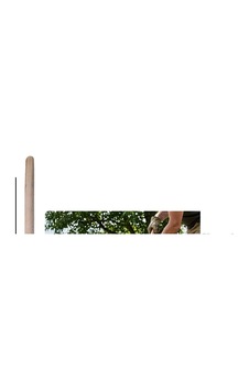 Ahşap Kürek Sap 145cm 5580