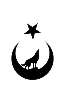 Ay Yıldız İçinde Bozkurt Oto Özel Yeni Sticker Siyah 25 X 32 Cm