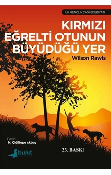 Kırmızı Eğrelti Otunun Büyüdüğü Yer - Rjcı-763567 Kırmızı Eğrelti Otunun Büyüdüğü Yer - Rjcı-763567
