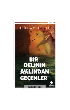 Bir Delinin Aklından Geçenler - Gülay Genç - Morena Yayınevi Bir Delinin Aklından Geçenler - Gülay Genç - Morena Yayınevi