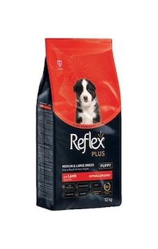 Northcity Orta Ve Büyük Irk Kuzulu Ve Pirinçli Yavru Köpek Maması 12 Kg Northcity Orta Ve Büyük Irk Kuzulu Ve Pirinçli Yavru Köpek Maması 12 Kg