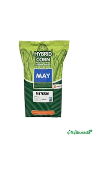 May M17gs01 Silajlık Mısır Tohumu 50.000 Adet May M17gs01 Silajlık Mısır Tohumu 50.000 Adet