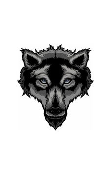Yaşlı Kurt Araba Motorsiklet Sticker 19 Cm