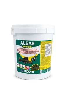 Prodac Algae Wafers 100gr Açık Prodac Algae Wafers 100gr Açık