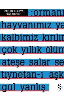 Tuz Günleri - Orhan Alkaya - Everest Yayınları Tuz Günleri - Orhan Alkaya - Everest Yayınları