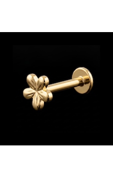 Yüksek Kalite G23 Titanium Çiçek Altın Titanyum 6x1,2mm Labret Piercing Yüksek Kalite G23 Titanium Çiçek Altın Titanyum 6x1,2mm Labret Piercing