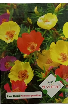 Ipek Çiçeği Tohumu Ipek Çiçeği Tohumu