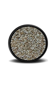 Pets Clup Sade Kanarya Yemi 500 G Açık