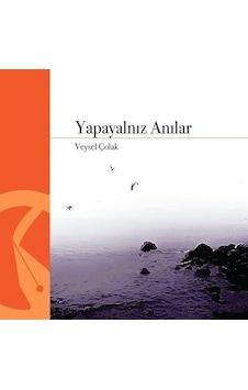 Yapayalnız Anılar / Veysel Çolak Yapayalnız Anılar / Veysel Çolak