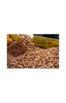 Gün Kurusu Kayısı Tatlı Çekirdeği 1 Kg Diğer