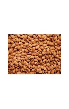 Magro Tuzlu Kavrulmuş Kayısı Bademi Kayısı Çekirdek 1kg Günkurusu Diğer