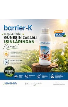 Enelsa Güneş Koruyucu Bitkiler İçin Barrier K Potasyum Silikat 1000 ML