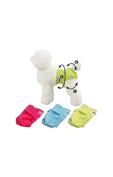 Pawise - 862 - Tekrar Kullanılabilir Köpek Külodu S - Csmo-tex - 3 Adet Pawise - 862 - Tekrar Kullanılabilir Köpek Külodu S - Csmo-tex - 3 Adet