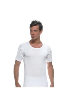 6 Adet Gümüş Erkek Büyük Beden Ribana Bisiklet Yaka Fanila Atlet-Beyaz-4Xl Beyaz 6 Adet Gümüş Erkek Büyük Beden Ribana Bisiklet Yaka Fanila Atlet-Beyaz-4Xl Beyaz