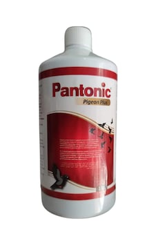 Royal Pantonic Pigeon Plus 1 Lt Güvercin Ve Kafes Kuşları Için Multivitamin Royal Pantonic Pigeon Plus 1 Lt Güvercin Ve Kafes Kuşları Için Multivitamin