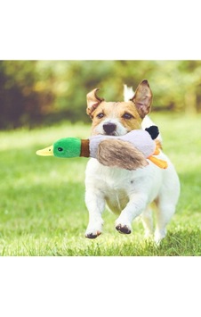 Kullanıma Uygun Sesli Ördek Şekilli Peluş Köpek Oyuncağı Kullanıma Uygun Sesli Ördek Şekilli Peluş Köpek Oyuncağı