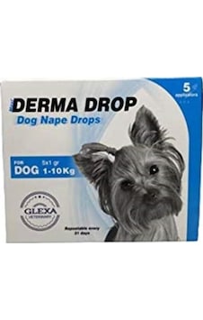 Köpekler Için Maxi Derma Drop 5x1 1-10 Kg