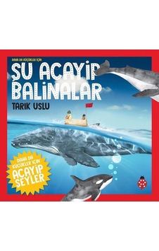 Daha da Küçükler İçin Şu Acayip Balinalar- Uğurböceği