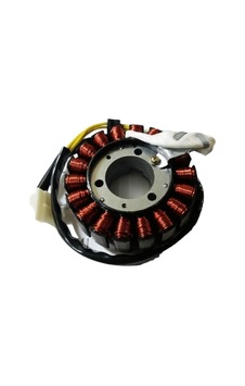 Twister 250 Sargı Moto11