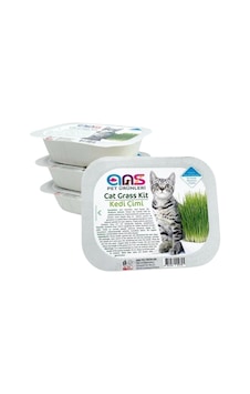 Ans Kedi Çimi 1 Paket Ans Kedi Çimi 1 Paket