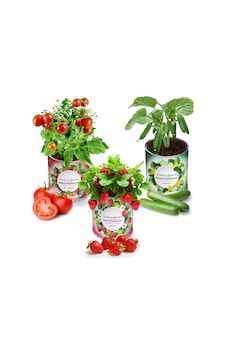 Konserve Bahçem Çilek + Salatalık + Domates Yetiştirme Kiti 3 Adet