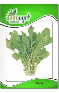 Sunagri Tere Tohumu Sunagri Tere Tohumu