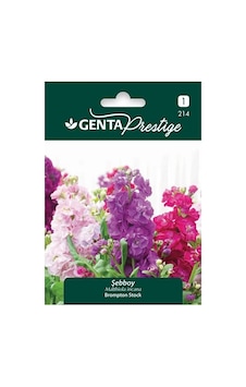 Genta Prestige Şebboy Çiçek Tohumu 20beyazcipso Genta Prestige Şebboy Çiçek Tohumu 20beyazcipso