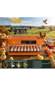 Tam Otomatik Kuluçka Makinesi 130 Yumurta Kapasiteli Akıllı Isı Ve Nem Kontrolü Otomatik Yumurta Çevirme Otomatik Su Sistemi Ayarlanabilir Viyol Lisinya Tam Otomatik Kuluçka Makinesi 130 Yumurta Kapasiteli Akıllı Isı Ve Nem Kontrolü Otomatik Yumurta Çevirme Otomatik Su Sistemi Ayarlanabilir Viyol Lisinya