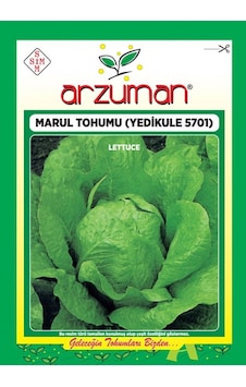 Yedikule 5701 Marul Tohumu 10 Gr Yedikule 5701 Marul Tohumu 10 Gr