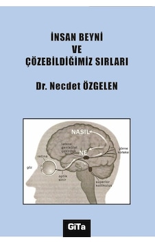 İnsan Beyni ve Çözebildiğimiz Sırları  - Necdet Özgelen  - Gita Yayınevi