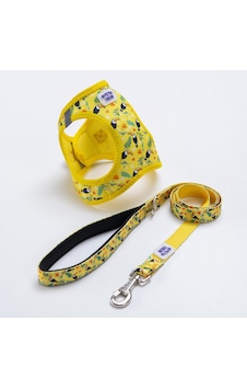Tropical Breeze Göğüs Tasması Ve Sevk Kayışı Tasma Seti Papağan Desenli Kedi Köpek Göğüs Tasması Seti Sarı Tropical Breeze Göğüs Tasması Ve Sevk Kayışı Tasma Seti Papağan Desenli Kedi Köpek Göğüs Tasması Seti Sarı