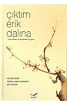 Çıktım Erik Dalına / Kolektif Çıktım Erik Dalına / Kolektif