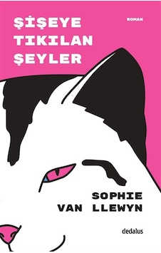 Şişeye Tıkılan Şeyler / Sophie Van Llewyn Şişeye Tıkılan Şeyler / Sophie Van Llewyn