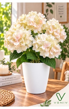 Saksılı Yapay Ortanca Çiçeği 35-40 Cm Krem Fildişi Pudra Pembe Beyaz Saksılı Dekoratif Yapay Çiçek Diğer Saksılı Yapay Ortanca Çiçeği 35-40 Cm Krem Fildişi Pudra Pembe Beyaz Saksılı Dekoratif Yapay Çiçek Diğer