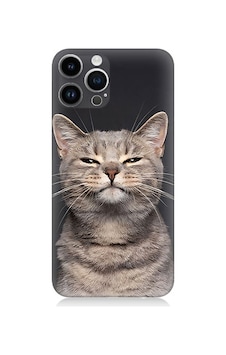 Apple Uyumlu iPhone 14 Pro  Gri Kedi Desenli Silikon Kılıf