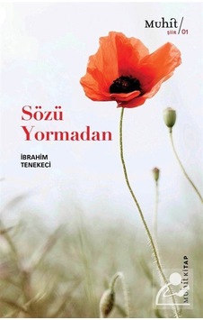 Sözü Yormadan / İbrahim Tenekeci Sözü Yormadan / İbrahim Tenekeci