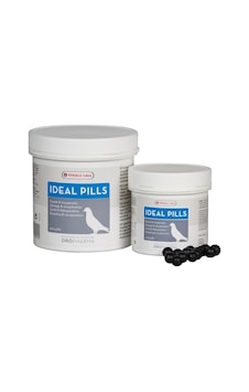 VLaga Orİdeal Pi̇lls Güv(Kondi̇syon Hapi)500 Lü
