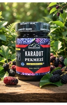 Nurbal Şifa Merkezi Karadut Pekmezi 450 G