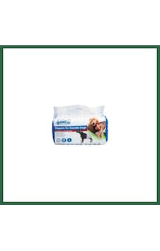 Pawise Köpek Alt Bağlama Pedi Large Siyah 12 Adet Bzs01 Pawise Köpek Alt Bağlama Pedi Large Siyah 12 Adet Bzs01