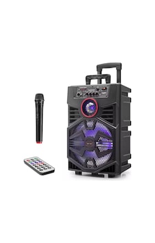 Kimiso QS1341 El Mikrofonlu 30 Cm 30W Mini Müzik