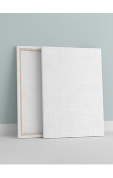 Lexroo Profesyonel Boş Tuval, 50x70 Cm, 2 Li Paket Boş Kanvas Tablo, Boyama Tuvali Standart Lexroo Profesyonel Boş Tuval, 50x70 Cm, 2 Li Paket Boş Kanvas Tablo, Boyama Tuvali Standart