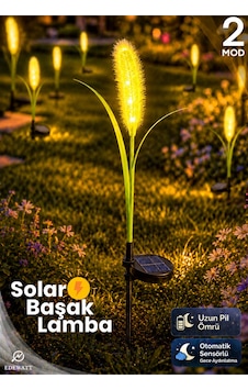 Dekoratif Başak Görünümlü Solar Led Lamba Güneş Enerjilli Su Geçirmez Bahçe Aydınlatma Dekoratif Başak Görünümlü Solar Led Lamba Güneş Enerjilli Su Geçirmez Bahçe Aydınlatma