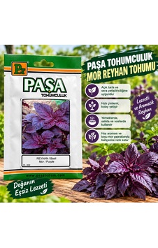 Mor Reyhan Fesleğen Tohumu 5 Gram Mor Reyhan Fesleğen Tohumu 5 Gram